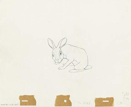 Watership Down Fiver KEY 1978 Production Animation Cel Drawing with LJE Seal and COA 23-7