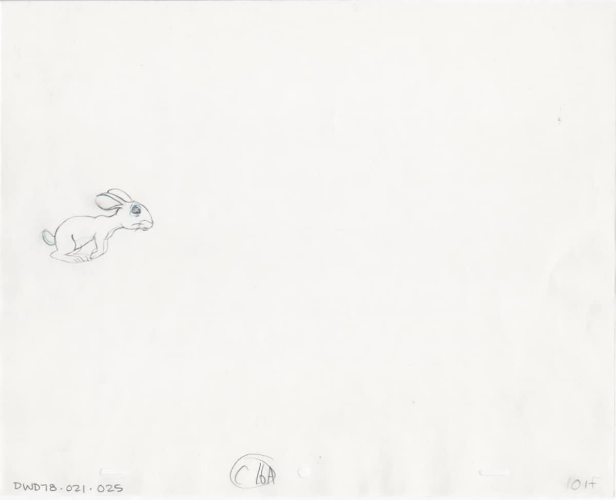 Watership Down 1978 Production Animation Cel Drawing with Linda Jones Enterprise Certificate of Authenticity 021-025