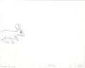 Watership Down 1978 Production Animation Cel Drawing with Linda Jones Enterprise Certificate of Authenticity 020-012