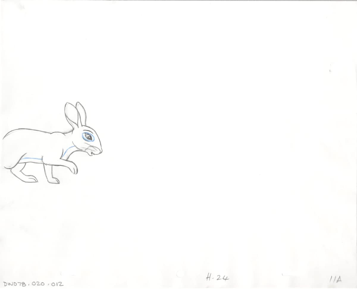 Watership Down 1978 Production Animation Cel Drawing with Linda Jones Enterprise Certificate of Authenticity 020-012