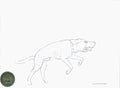 Watership Down 1978 Key Production Animation Cel Drawing with Linda Jones Enterprise Certificate of Authenticity 4-5