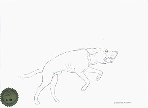 Watership Down 1978 Key Production Animation Cel Drawing with Linda Jones Enterprise Certificate of Authenticity 4-5