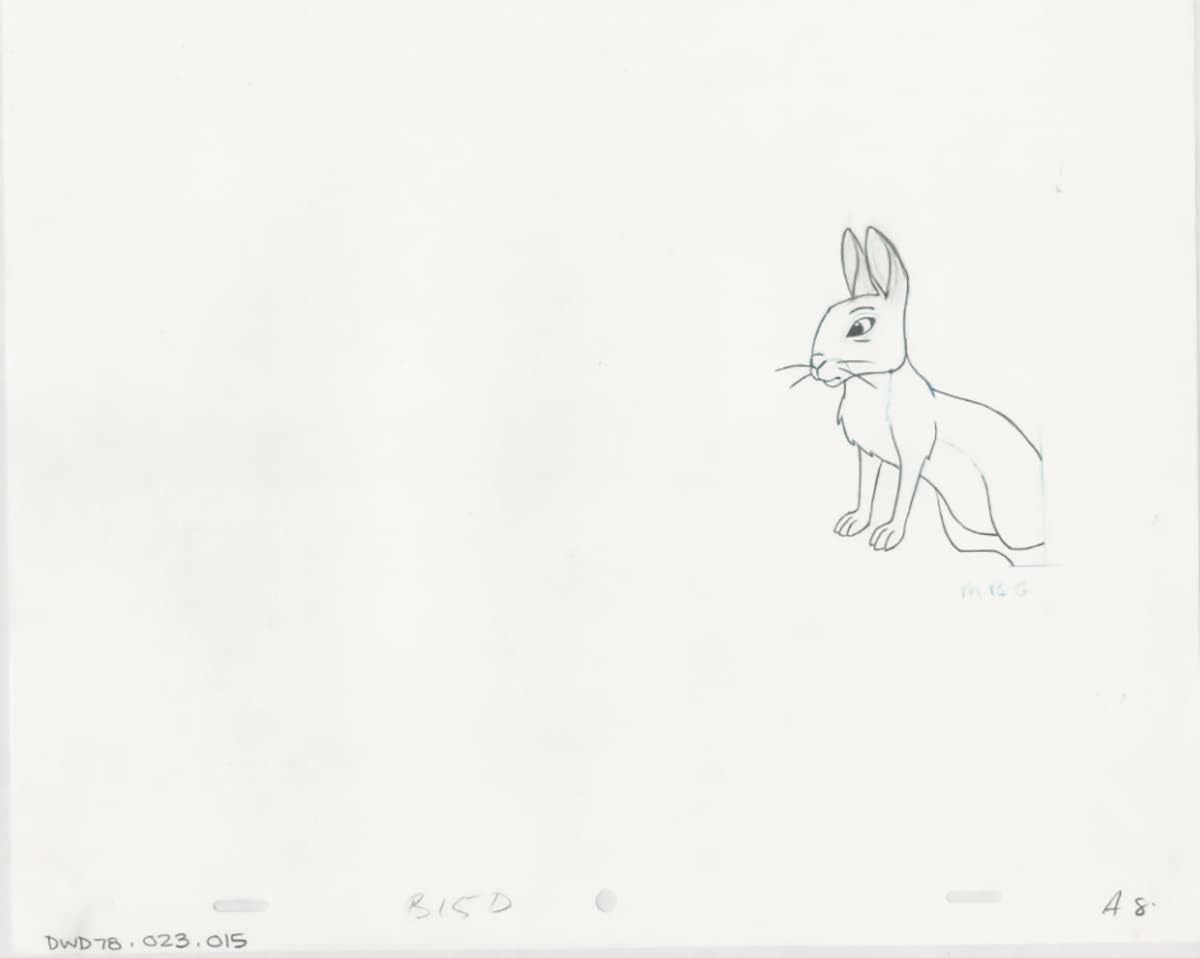 Watership Down 1978 Production Animation Cel Drawing with Linda Jones Enterprise Certificate of Authenticity 028-15