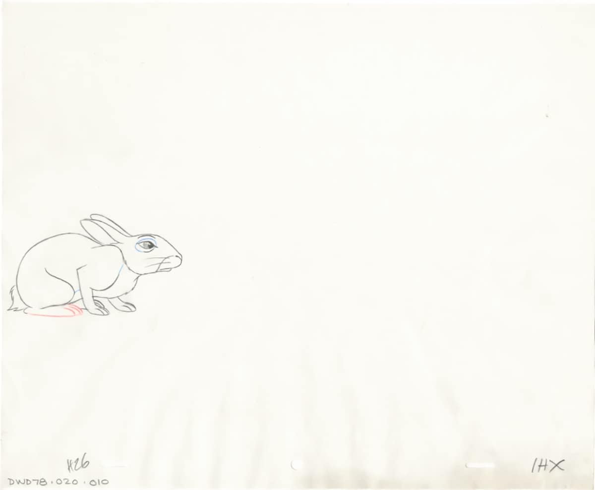 Watership Down 1978 Production Animation Cel Drawing with Linda Jones Enterprise Certificate of Authenticity 020-010