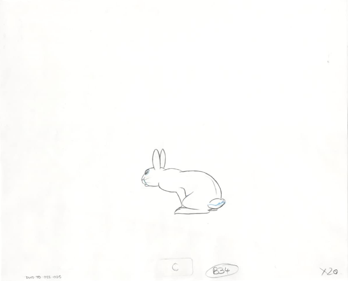Watership Down 1978 Production Animation Cel Drawing with Linda Jones Enterprise Certificate of Authenticity 022-025