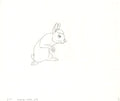 Watership Down 1978 Production Animation Cel Drawing with Linda Jones Enterprise Certificate of Authenticity 023-019