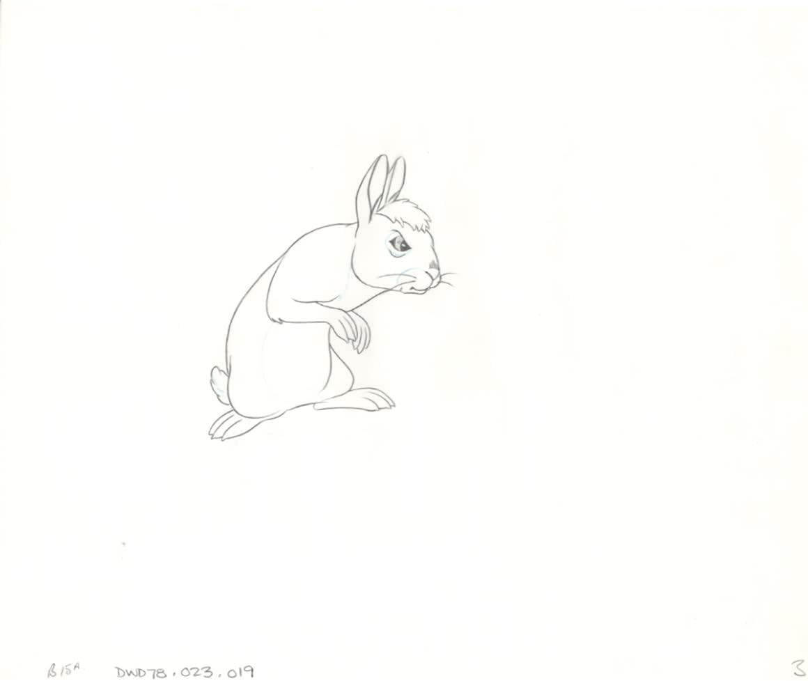 Watership Down 1978 Production Animation Cel Drawing with Linda Jones Enterprise Certificate of Authenticity 023-019
