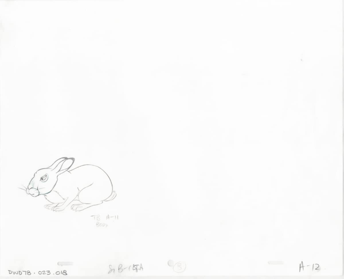 Watership Down 1978 Production Animation Cel Drawing with Linda Jones Enterprise Certificate of Authenticity 023-018