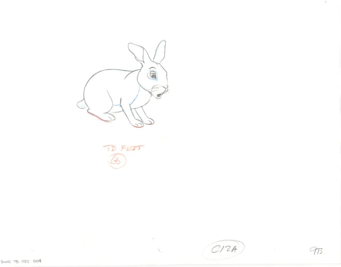 Watership Down 1978 Production Animation Cel Drawing with Linda Jones Enterprise Certificate of Authenticity 022-004