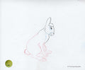 Watership Down 1978 Production Animation Cel Drawing with Linda Jones Enterprise Certificate of Authenticity 023-8