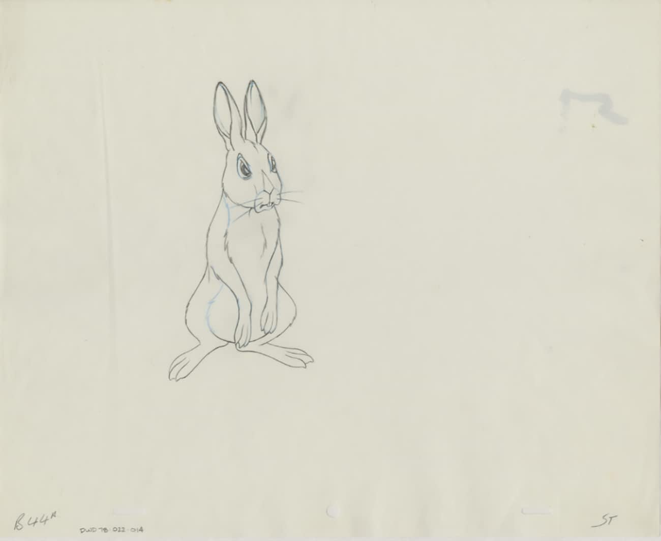 Watership Down 1978 Production Animation Cel Drawing with Linda Jones Enterprise Certificate of Authenticity 022-014
