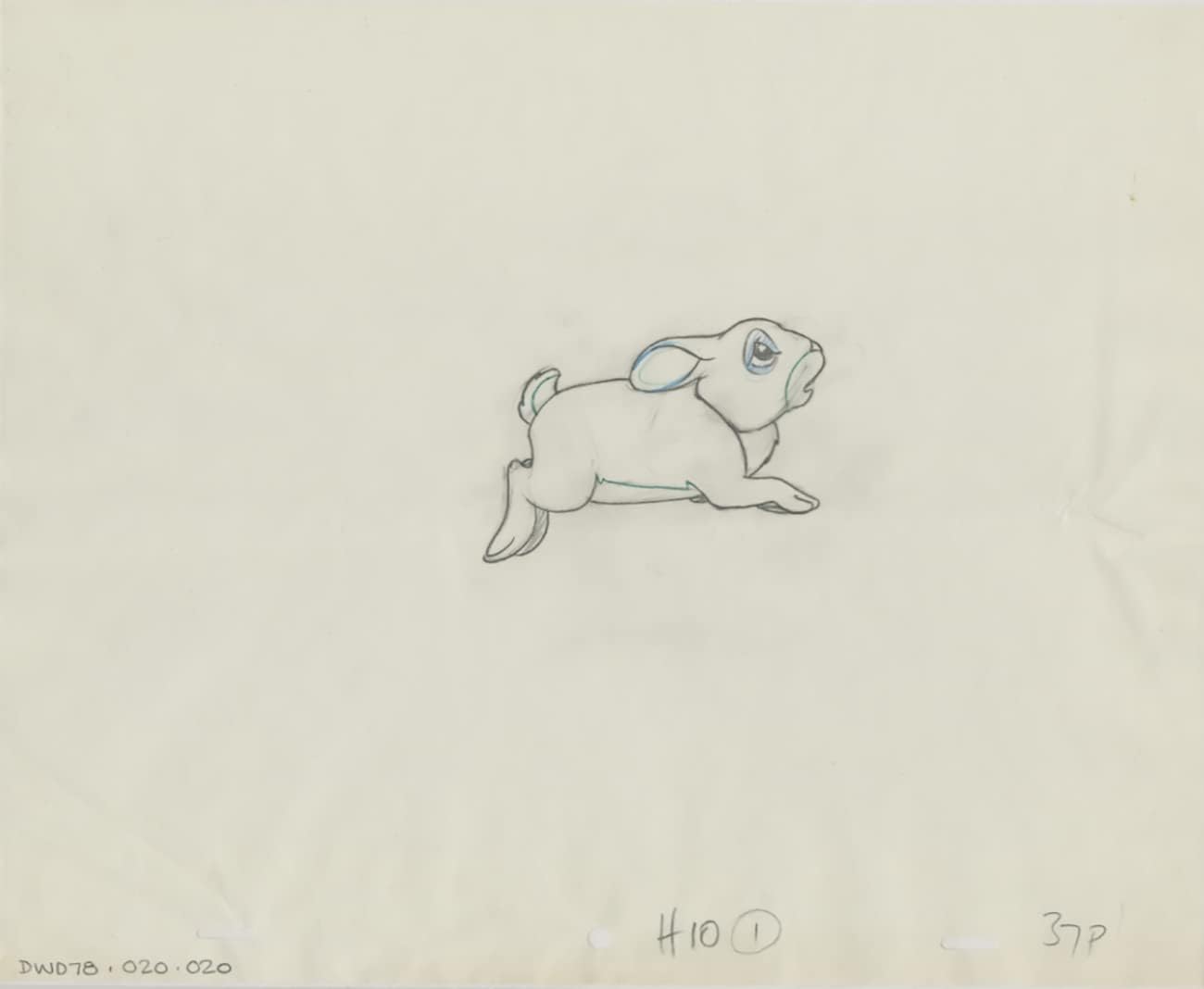 Watership Down 1978 Production Animation Cel Drawing with Linda Jones Enterprise Certificate of Authenticity 020-020