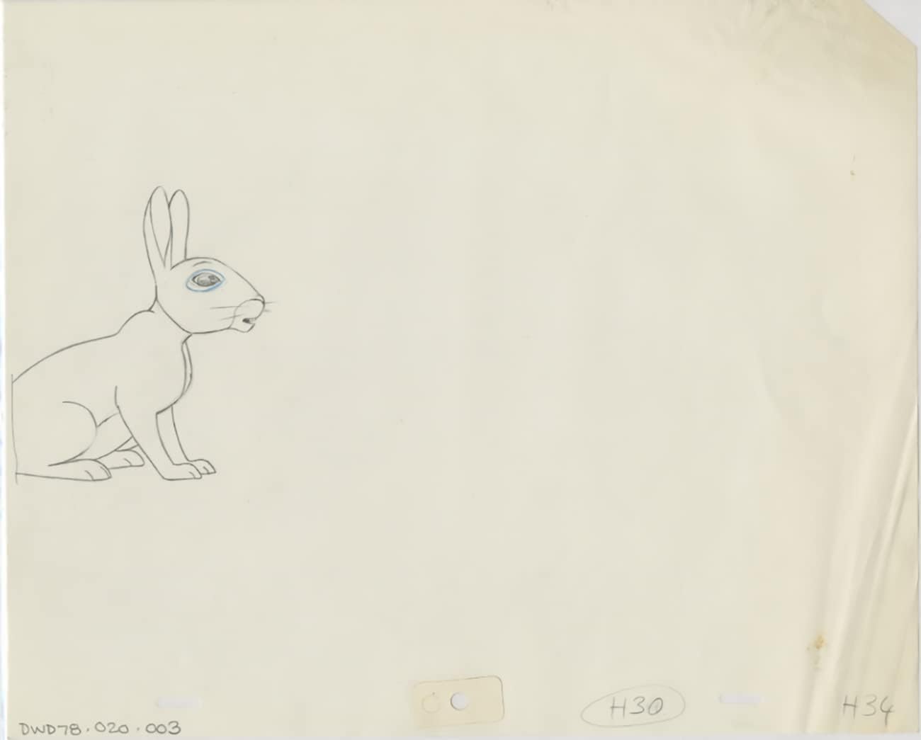 Watership Down 1978 Production Animation Cel Drawing with Linda Jones Enterprise Certificate of Authenticity 020-003