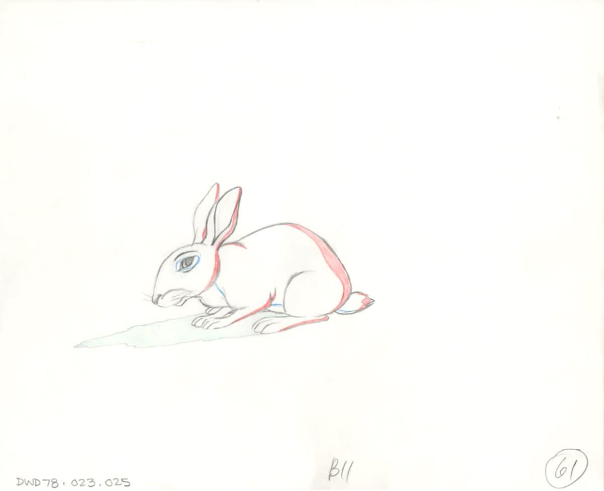 Watership Down 1978 Production Animation Cel Drawing with Linda Jones Enterprise Certificate of Authenticity 023-025