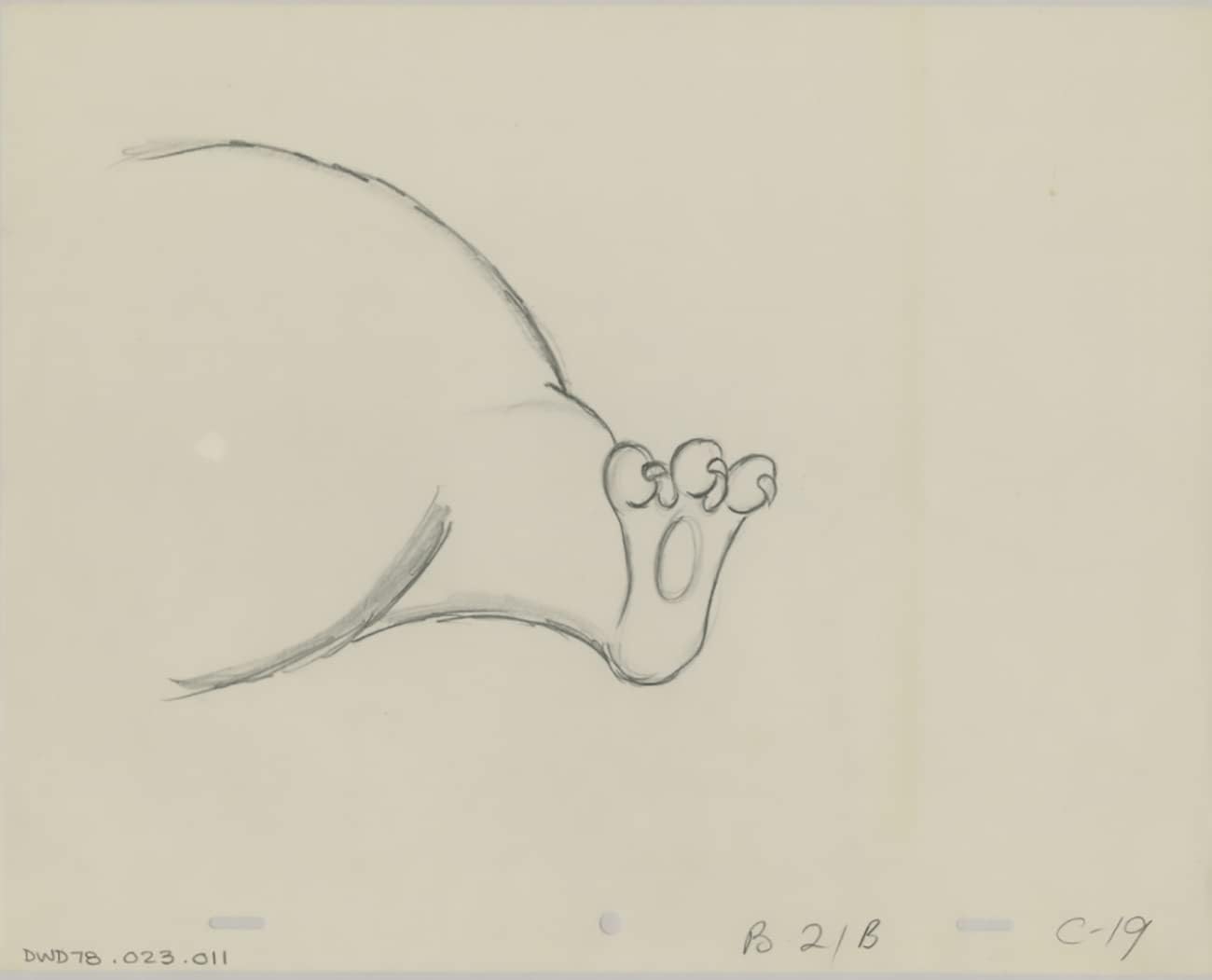 Watership Down 1978 Production Animation Cel Drawing with Linda Jones Enterprise Certificate of Authenticity 023-011