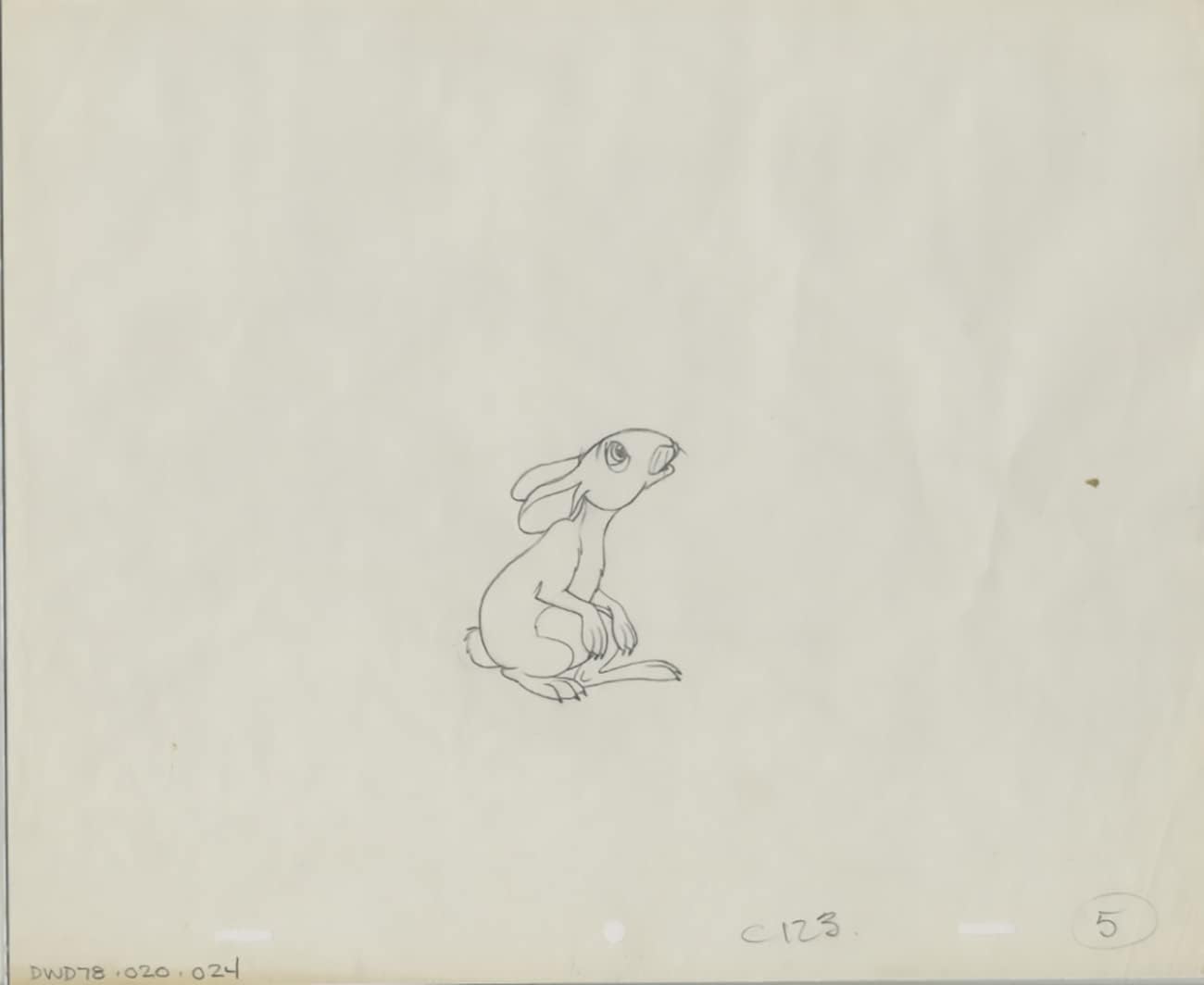 Watership Down 1978 Production Animation Cel Drawing with Linda Jones Enterprise Certificate of Authenticity 021-024