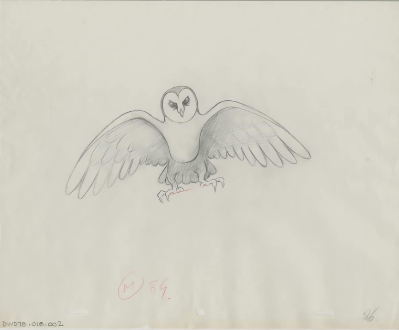 Watership Down 1978 Production Animation Cel Drawing with Linda Jones Enterprise Certificate of Authenticity 018-002