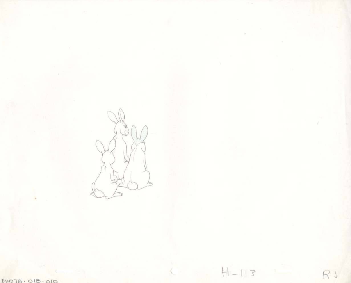 Watership Down 1978 Production Animation Cel Drawing with Linda Jones Enterprise Certificate of Authenticity 018-10