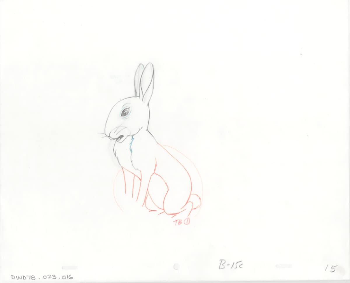 Watership Down 1978 Production Animation Cel Drawing with Linda Jones Enterprise Certificate of Authenticity 023-016