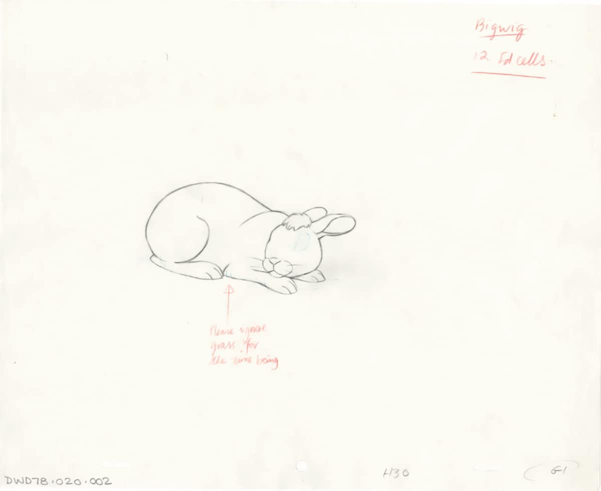 Watership Down 1978 Production Animation Cel Drawing with Linda Jones Enterprise Certificate of Authenticity 20-002