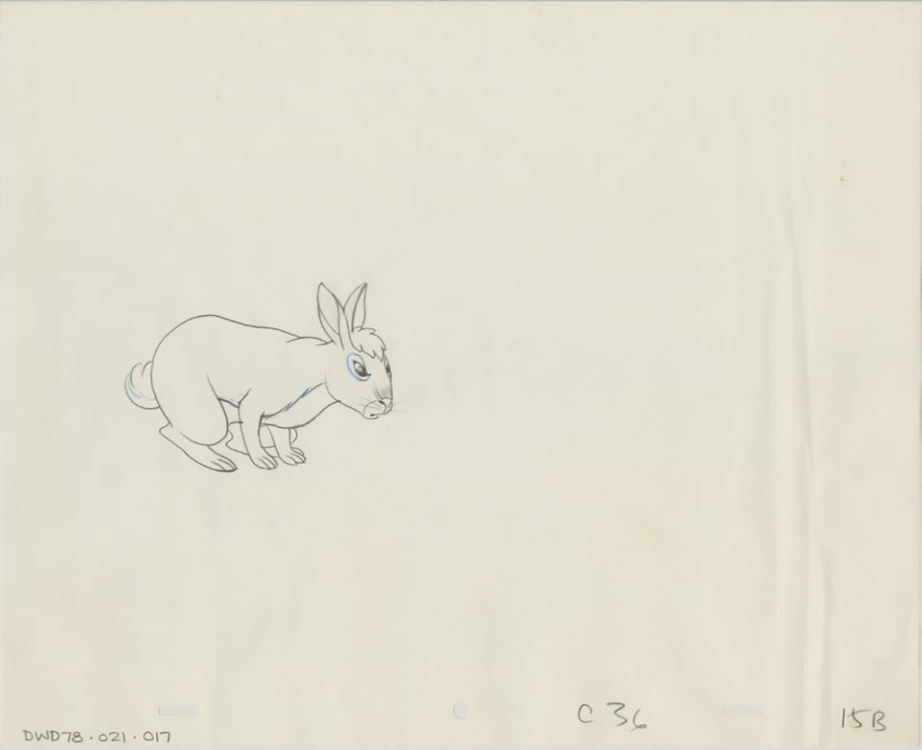 Watership Down 1978 Production Animation Cel Drawing with Linda Jones Enterprise Certificate of Authenticity 021-017