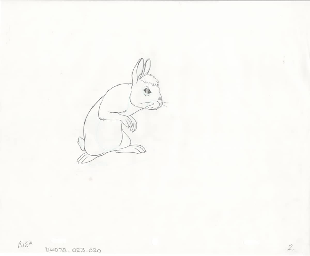 Watership Down 1978 Production Animation Cel Drawing with Linda Jones Enterprise Certificate of Authenticity 023-020