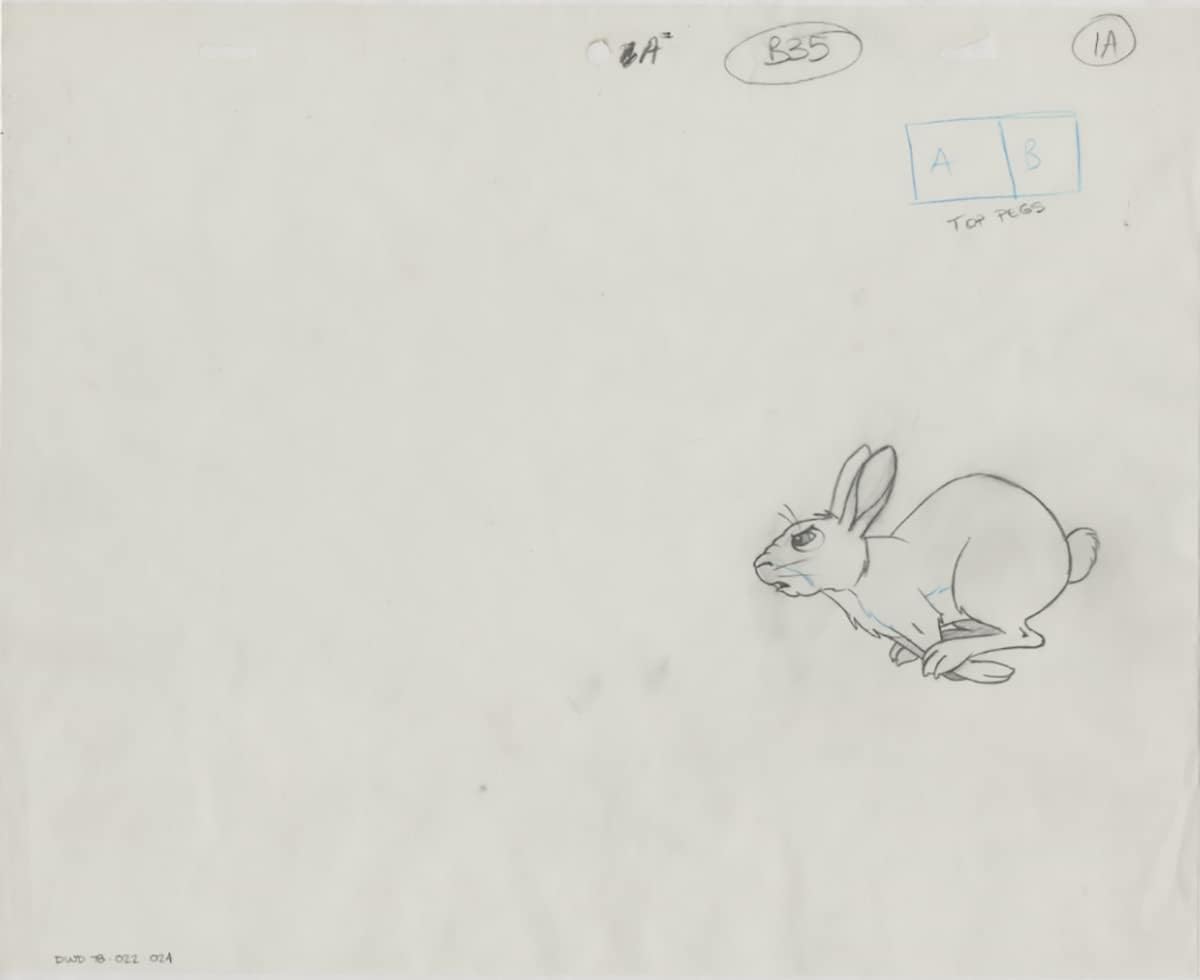 Watership Down 1978 Production Animation Cel Drawing with Linda Jones Enterprise Certificate of Authenticity 022-024