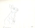Watership Down 1978 Production Animation Cel Drawing with Linda Jones Enterprise Certificate of Authenticity 020-022