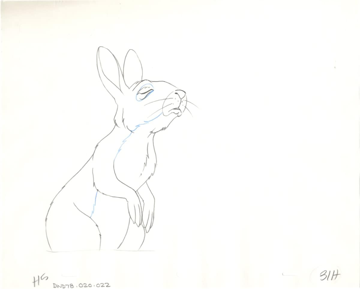 Watership Down 1978 Production Animation Cel Drawing with Linda Jones Enterprise Certificate of Authenticity 020-022