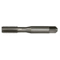 Greenfield Threading 308440 GT/VTD 1-1/8-7NC HTGP H4 4FL GP Bottom Hand Tap