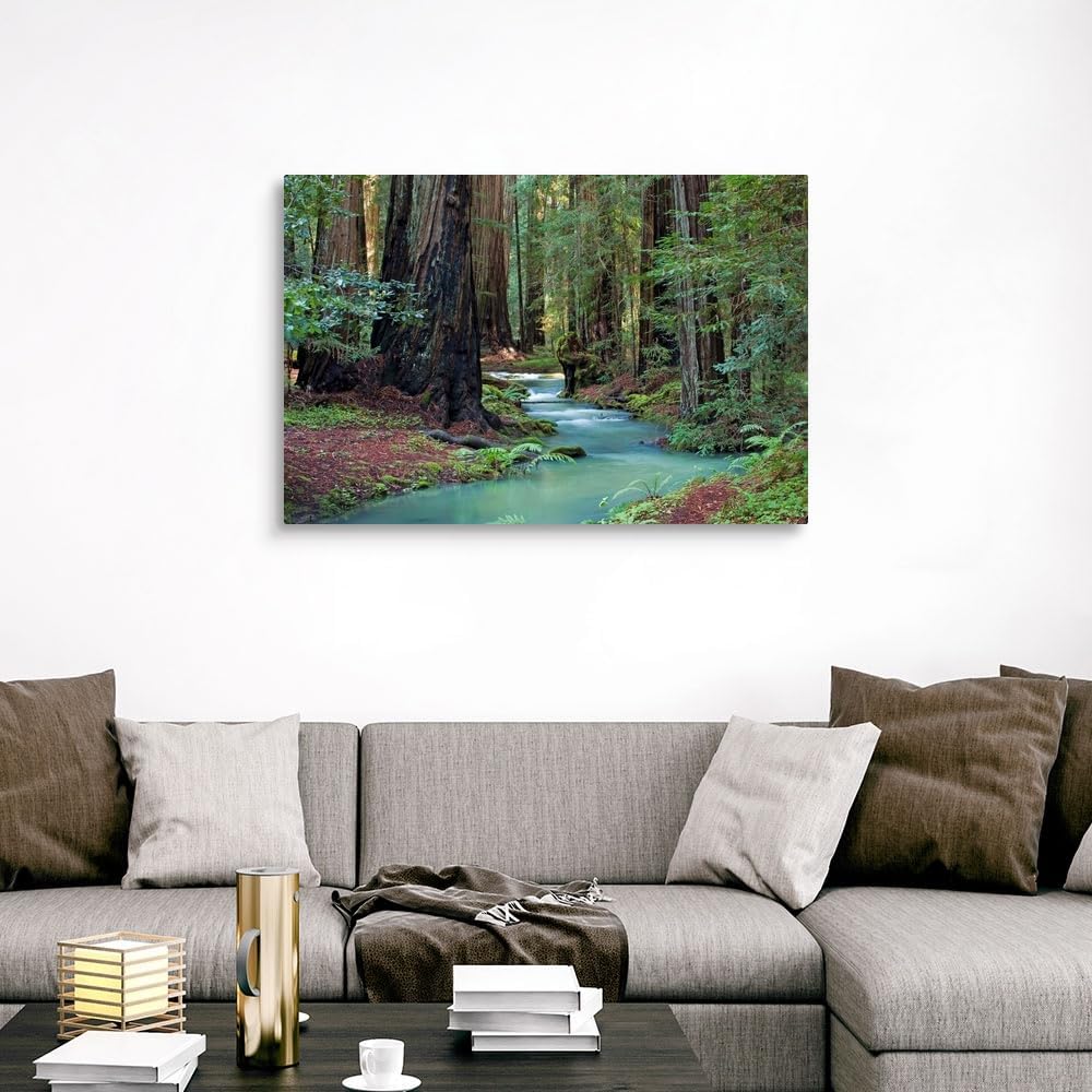 CANVAS ON DEMAND Redwood Forest II Canvas Wall Art Print by Rita Crane, Home Decor, Nature Artwork, 48' x32in