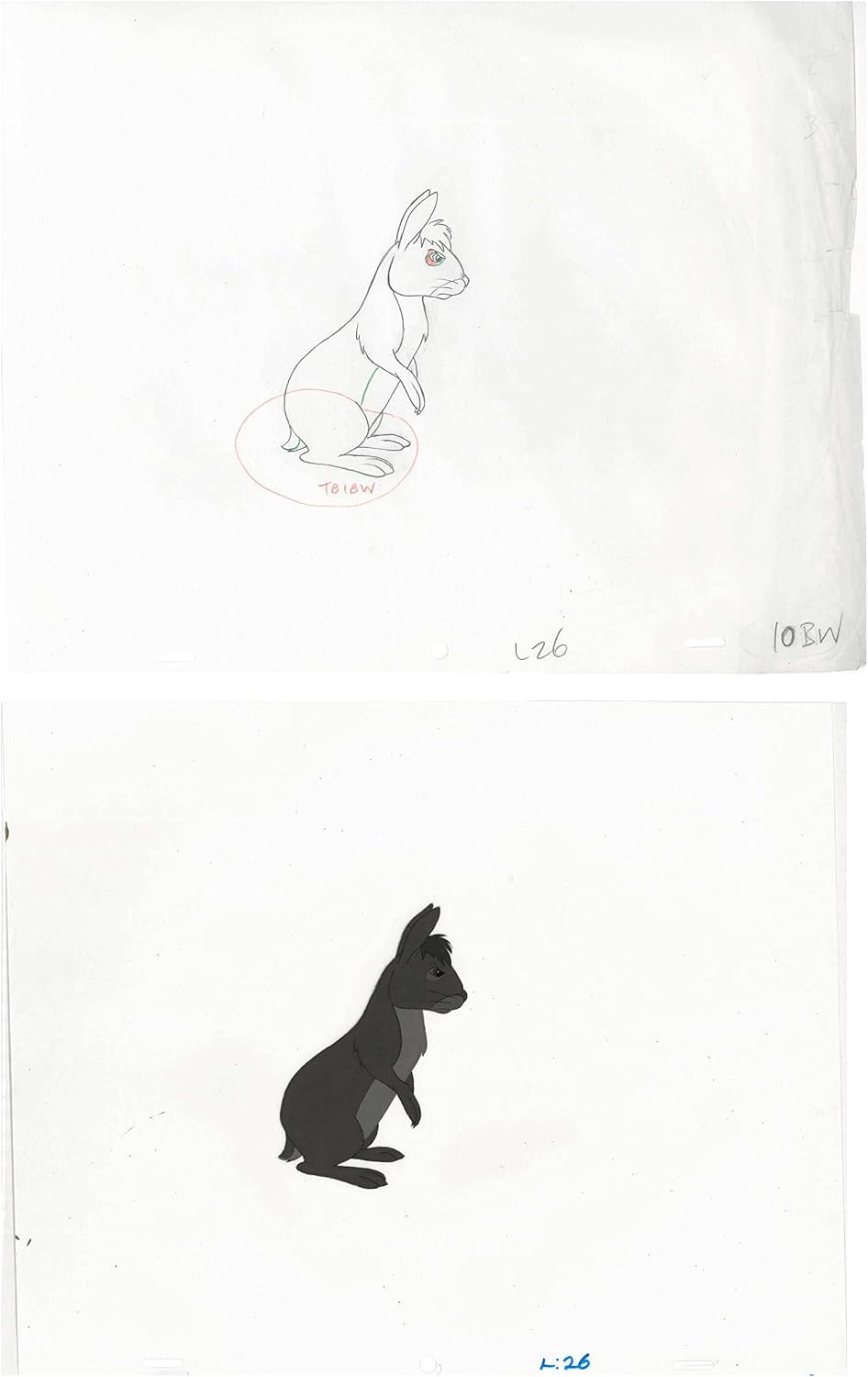 2 lot Watership Down 1978 production Animation Cel AND Key Drawing of Bigwig 130-26