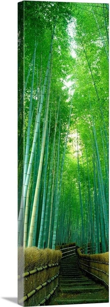 CANVAS ON DEMAND Path Through Bamboo Forest Kyoto Japan Canvas Wall Art Print, Home Decor, Summer, Summertime Artwork, 20'x60'