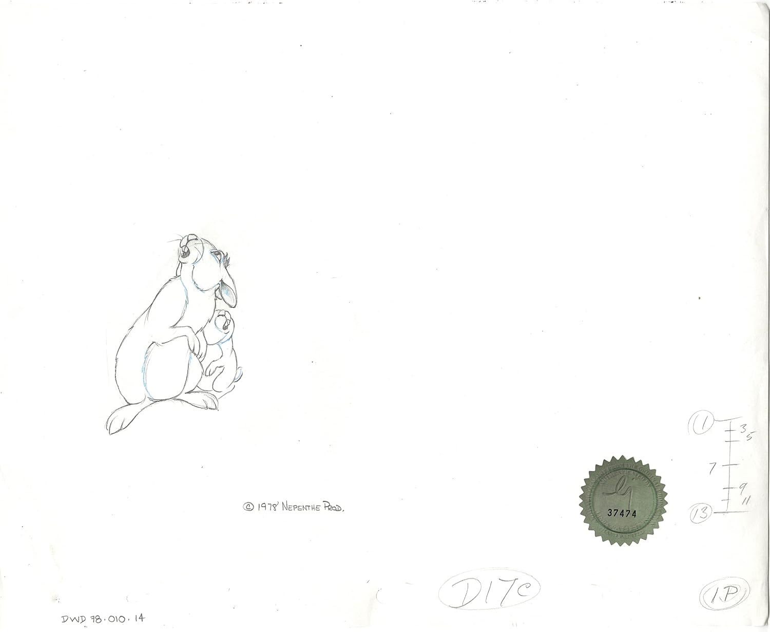Watership Down 1978 Production Animation Cel Drawing of Bigwig with Linda Jones Seal and Certificate of Authenticity 010-014