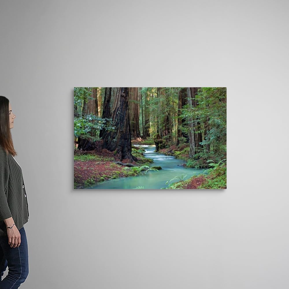 CANVAS ON DEMAND Redwood Forest II Canvas Wall Art Print by Rita Crane, Home Decor, Nature Artwork, 48' x32in