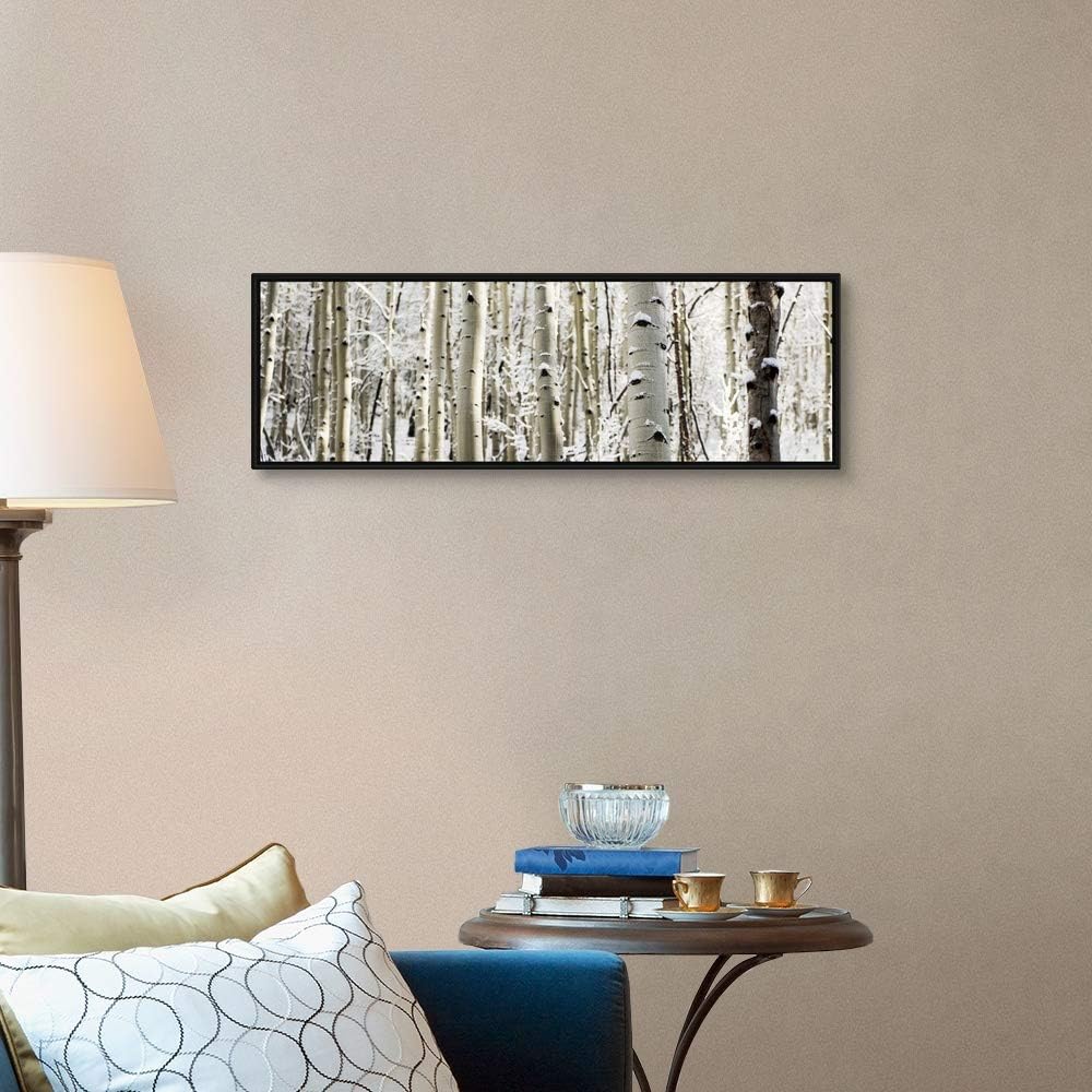 Snowy Birch Trees in a Forest, Aspen, Black Float Frame Canvas Art, Tree Artwork