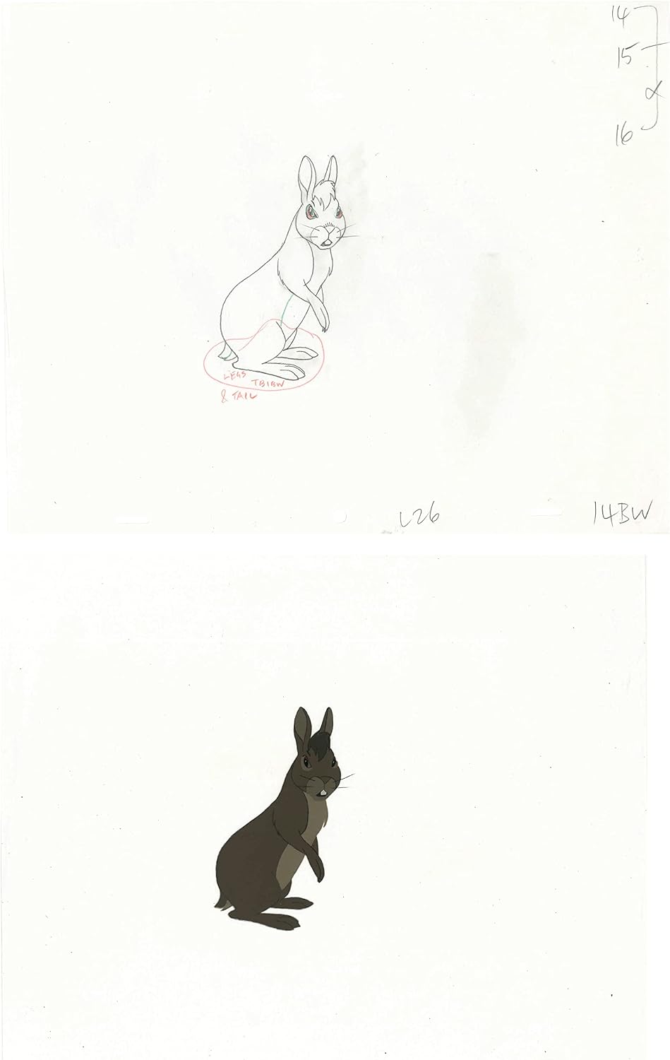 2 lot Watership Down 1978 production Animation Cel AND Key Drawing of Bigwig 130-24