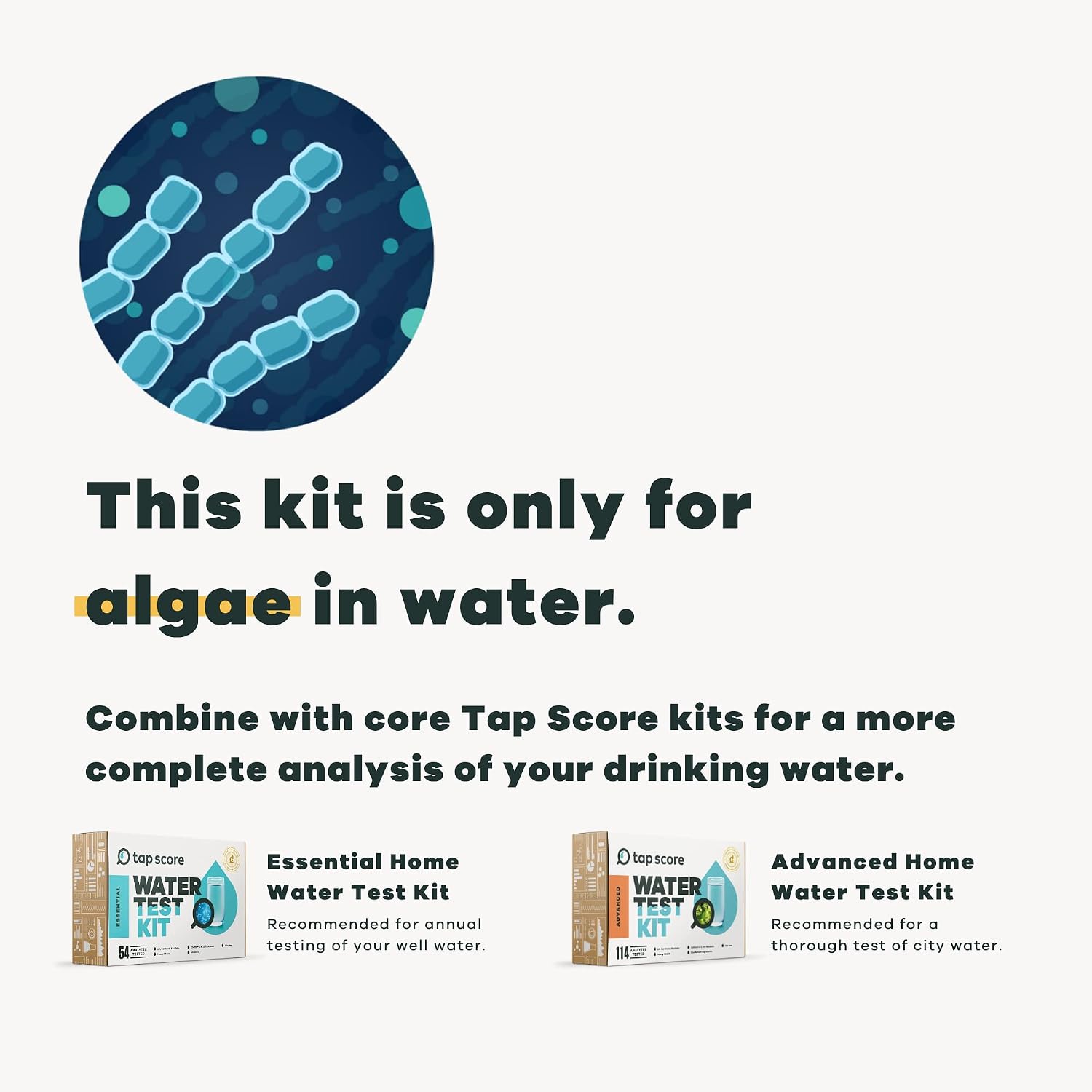 Tap Score Algae in Water Test Kit | Full Report | EPA Certified Water Labs | #1 Best Home Water Test 2021-24 NYT Wirecutter | 100% Unbiased