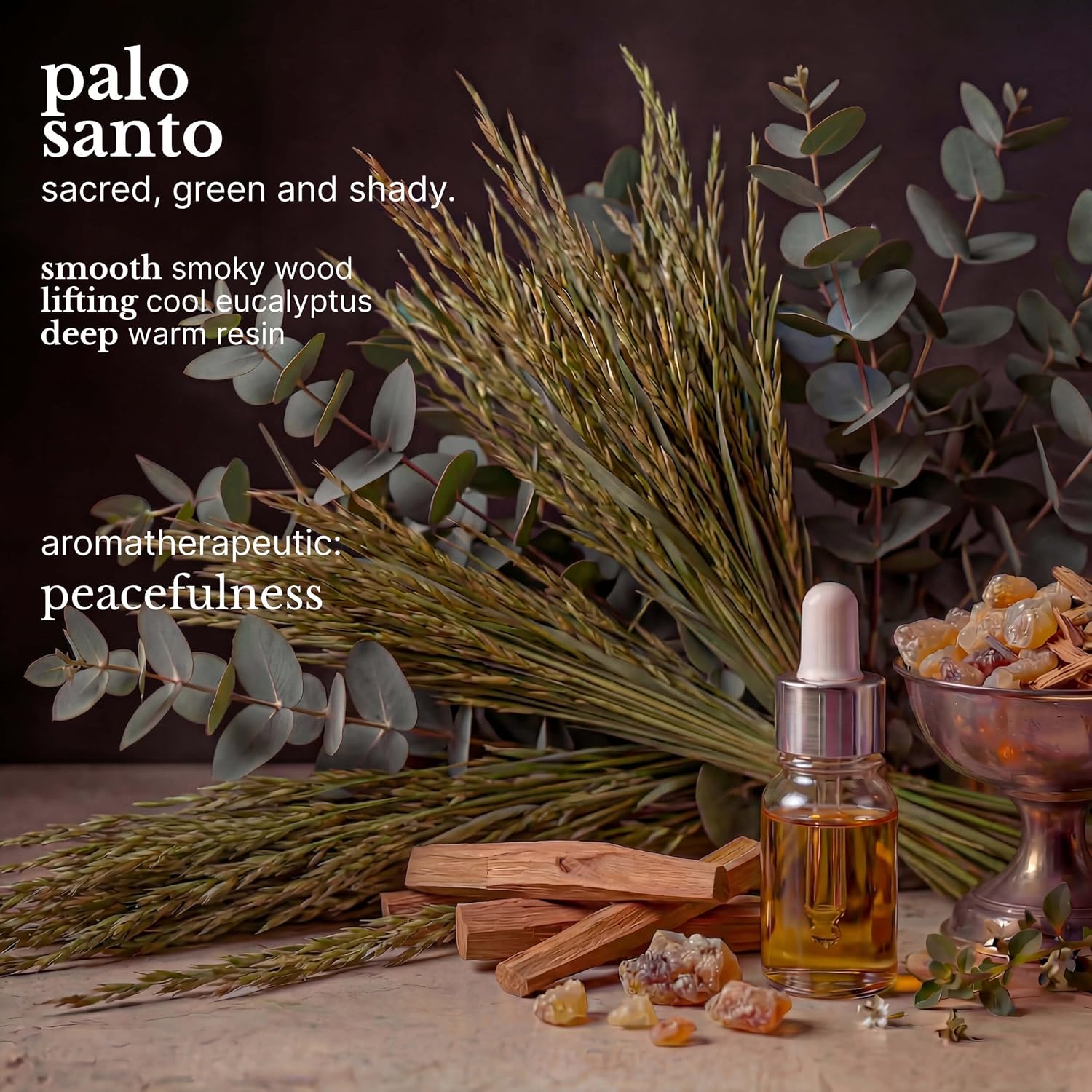Red Flower Palo Santo Purifying Body Wash – Cleanse & Hydrate Botanical Shower Gel with Organic Fruit & Leaf Extracts for Hydrated, Radiant Skin (1.3 Gallons)