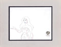 Justice League of America Wonder Woman Production Animation Cel Drawing from Warner Brothers 283